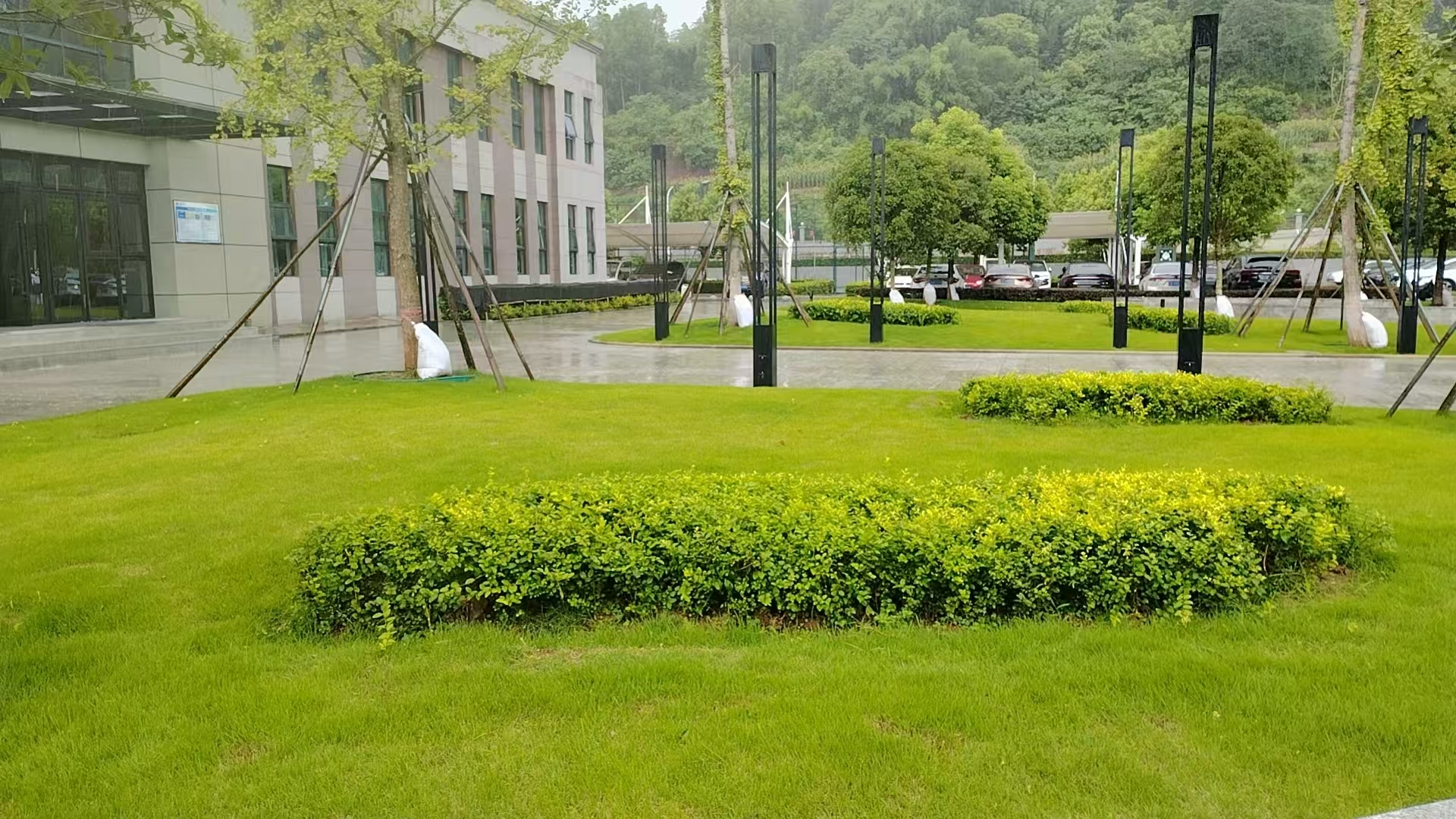 廠區綠化煥新顏1.jpg